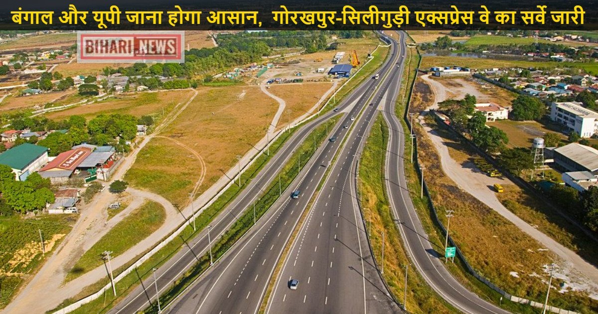 collageX X2023 01 11T170736.319X