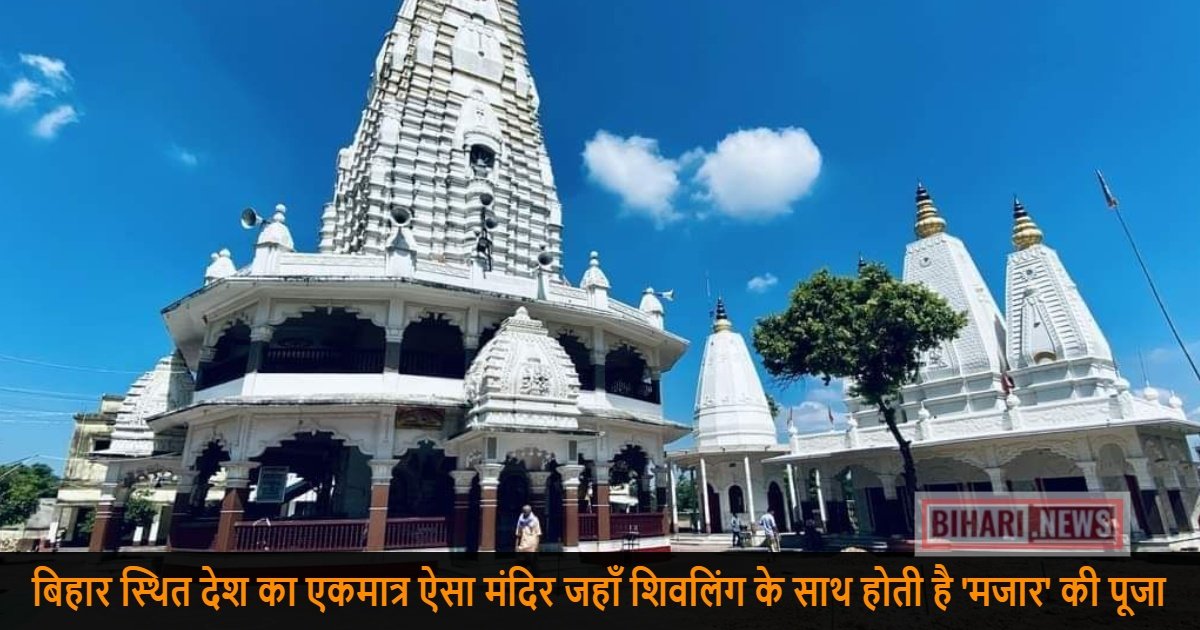 collageX X2023 01 12T172244.189X