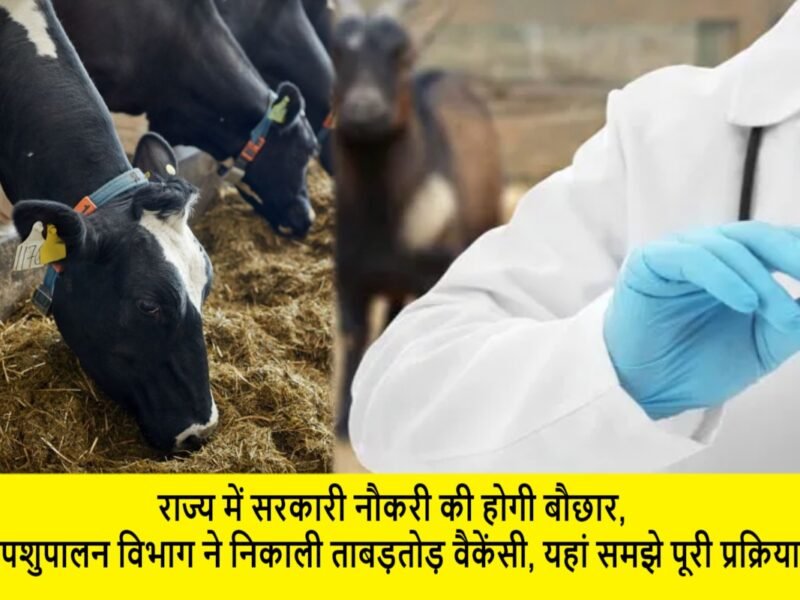 animal featured image 1 1