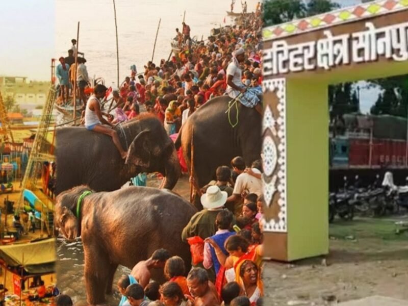 collage 2024 11 16T195224.129