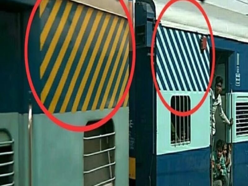 collage 2024 12 06T195238.267