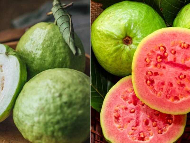 collage 2024 12 23T201108.470