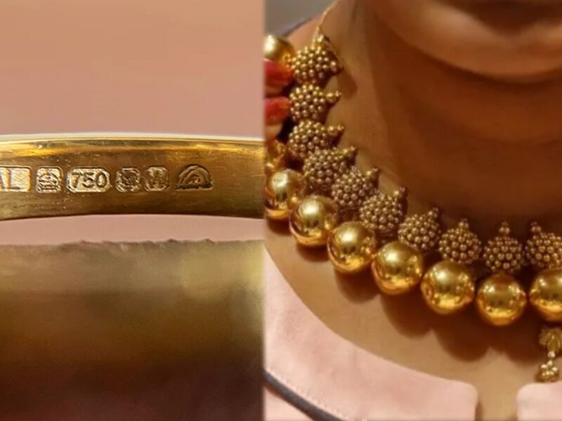 collage 2024 12 24T162823.635