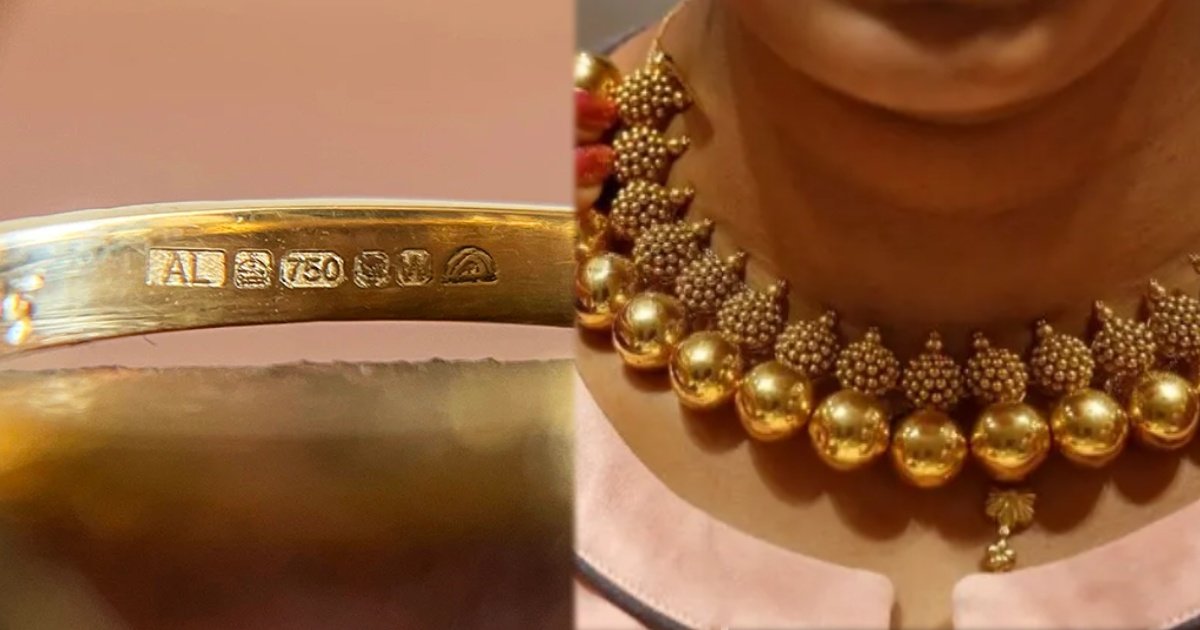 collage 2024 12 24T162823.635