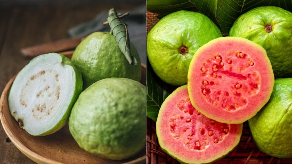 pink white guava 