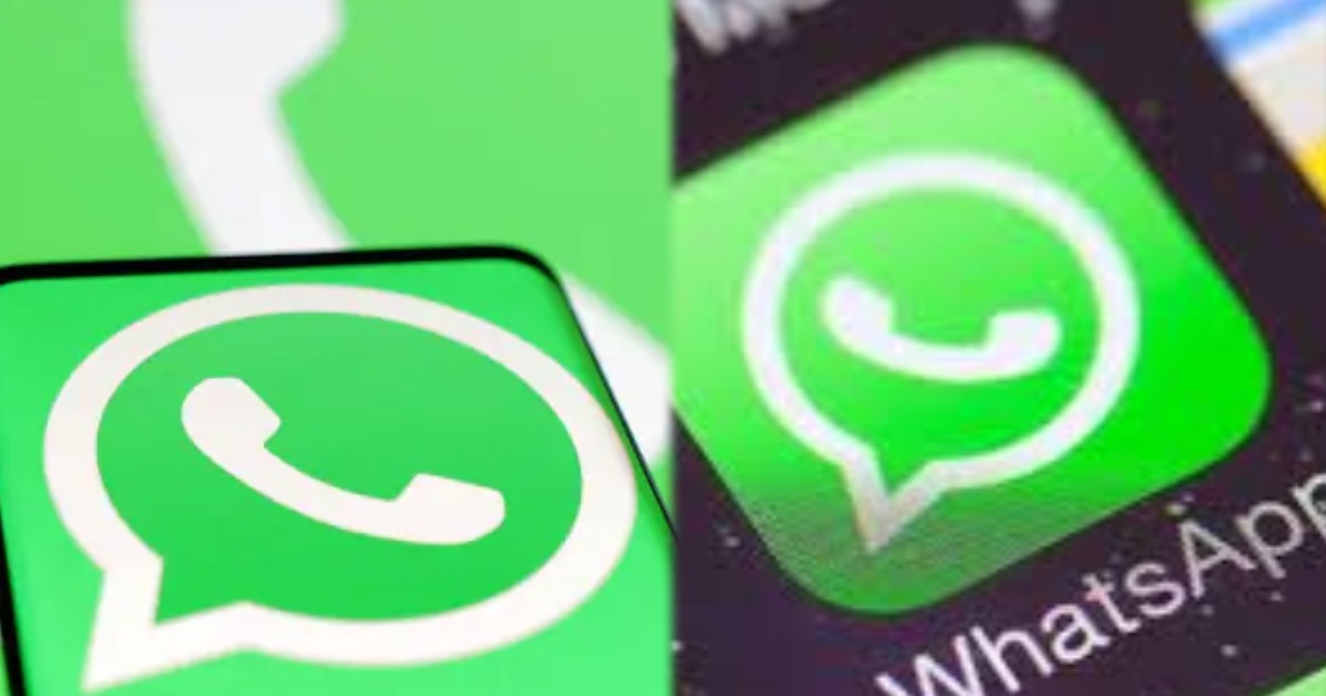 collage 2025 02 04T161433.466