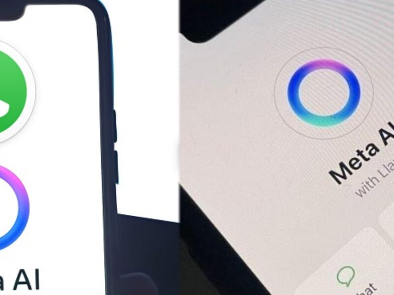 collage 2025 02 06T163016.953