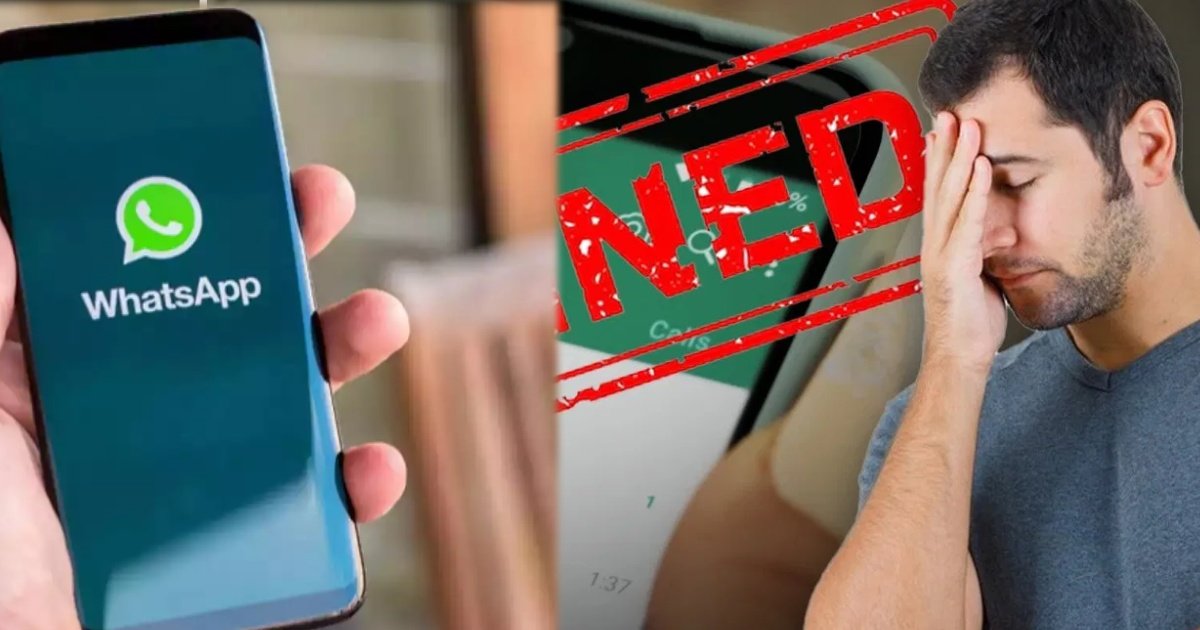 collage 2025 02 22T195948.668