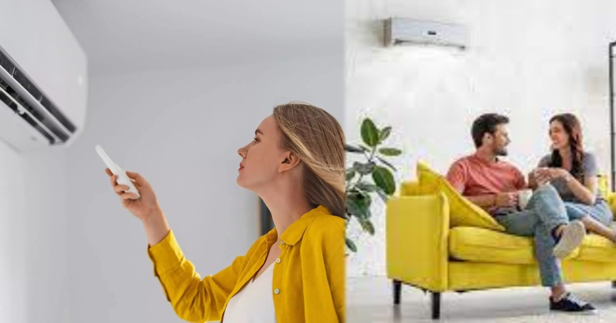 collage 2025 02 25T163911.591