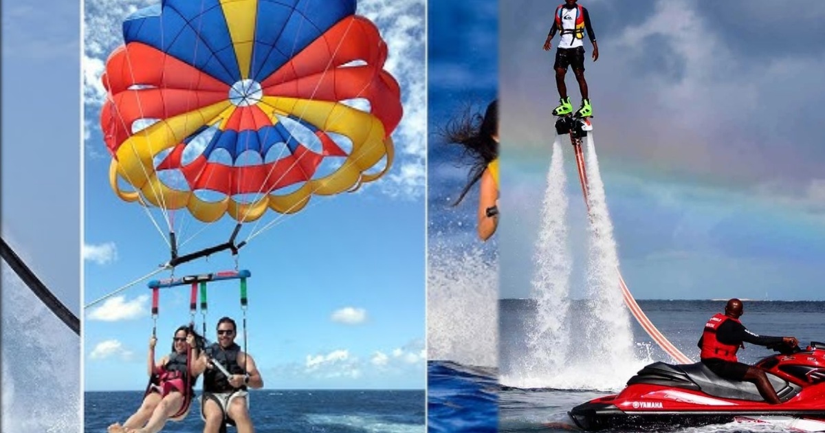 collage 2025 03 01T185344.410