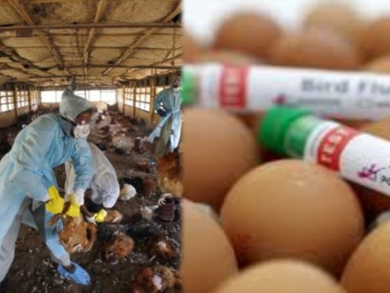 collage 2025 03 11T170826.842