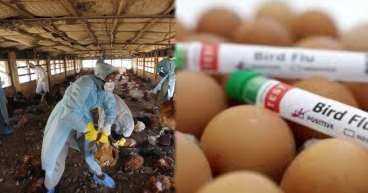 collage 2025 03 11T170826.842