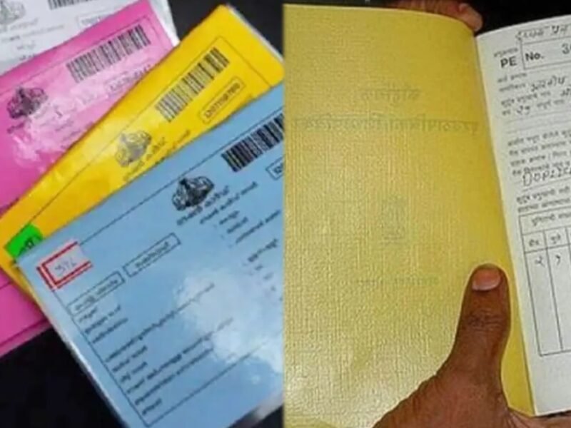 collage 2025 03 18T154739.866