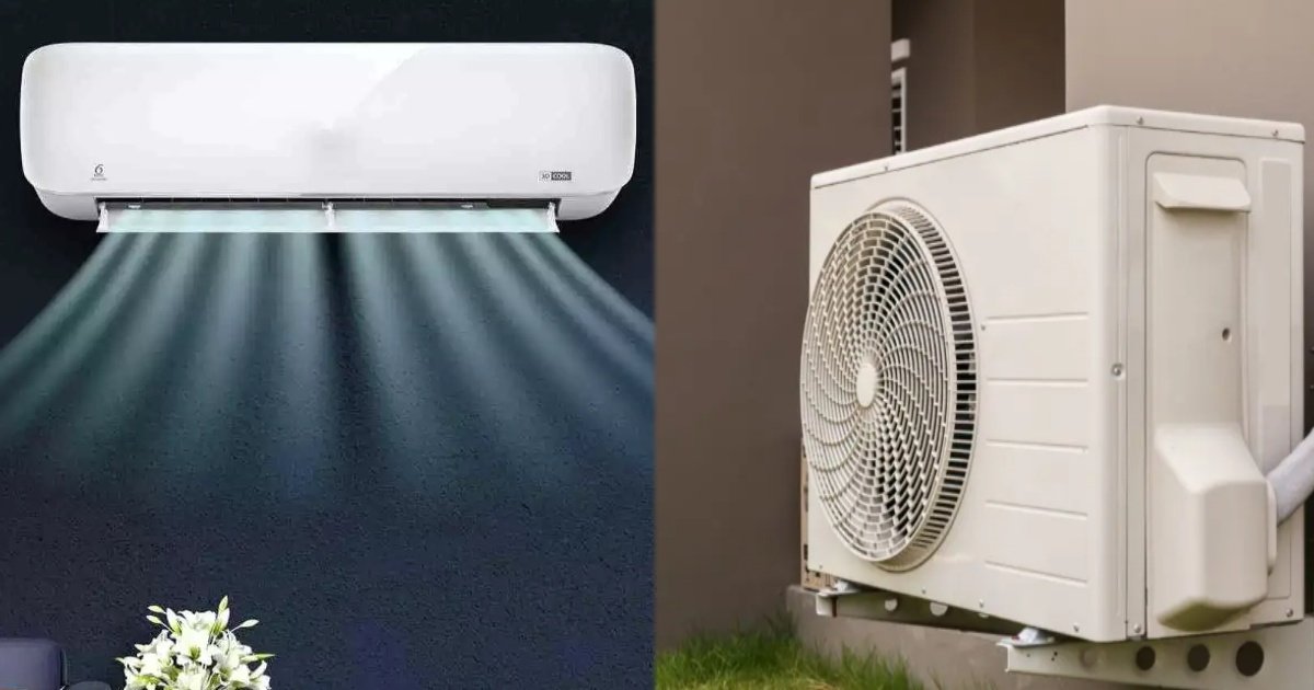 collage 2025 03 19T192240.000