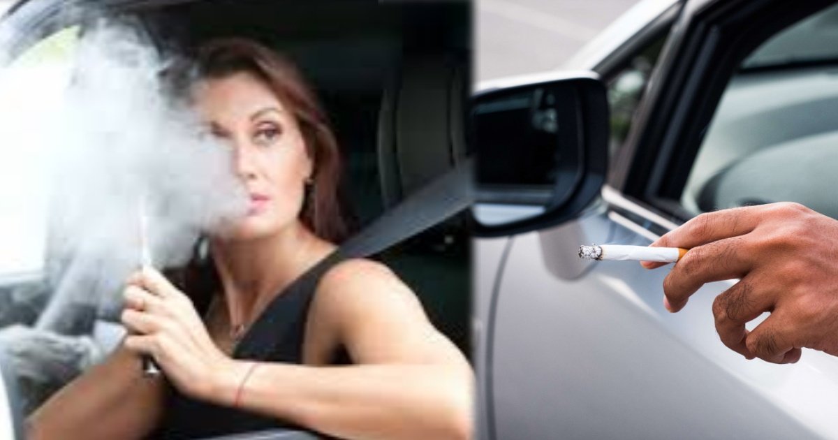 collage 2025 03 19T194032.406