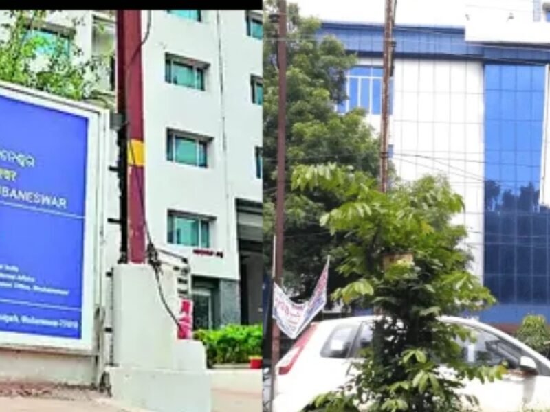 collage 2025 03 28T194630.348