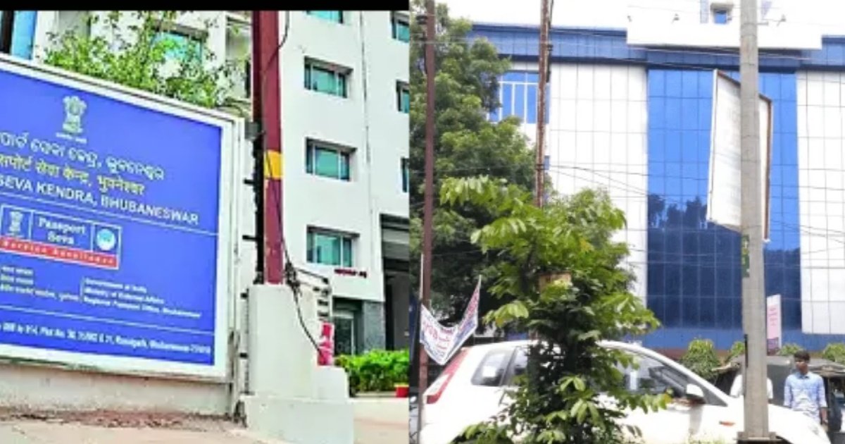 collage 2025 03 28T194630.348