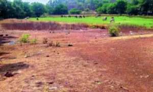 Land Registry In Bihar